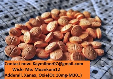 Buy Adderall 30mg Online @ Thecitymed.com