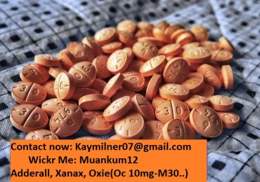 Buy Adderall 30mg Online Available In Quantity
