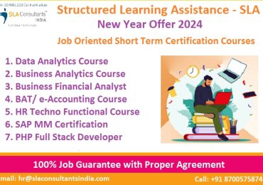 Data Analytics Certification Course, 100% Job by SLA Institute , Salary upto 9 LPA, SLA Analyst Training, SQL, Power BI, Python Classes in Delhi,
